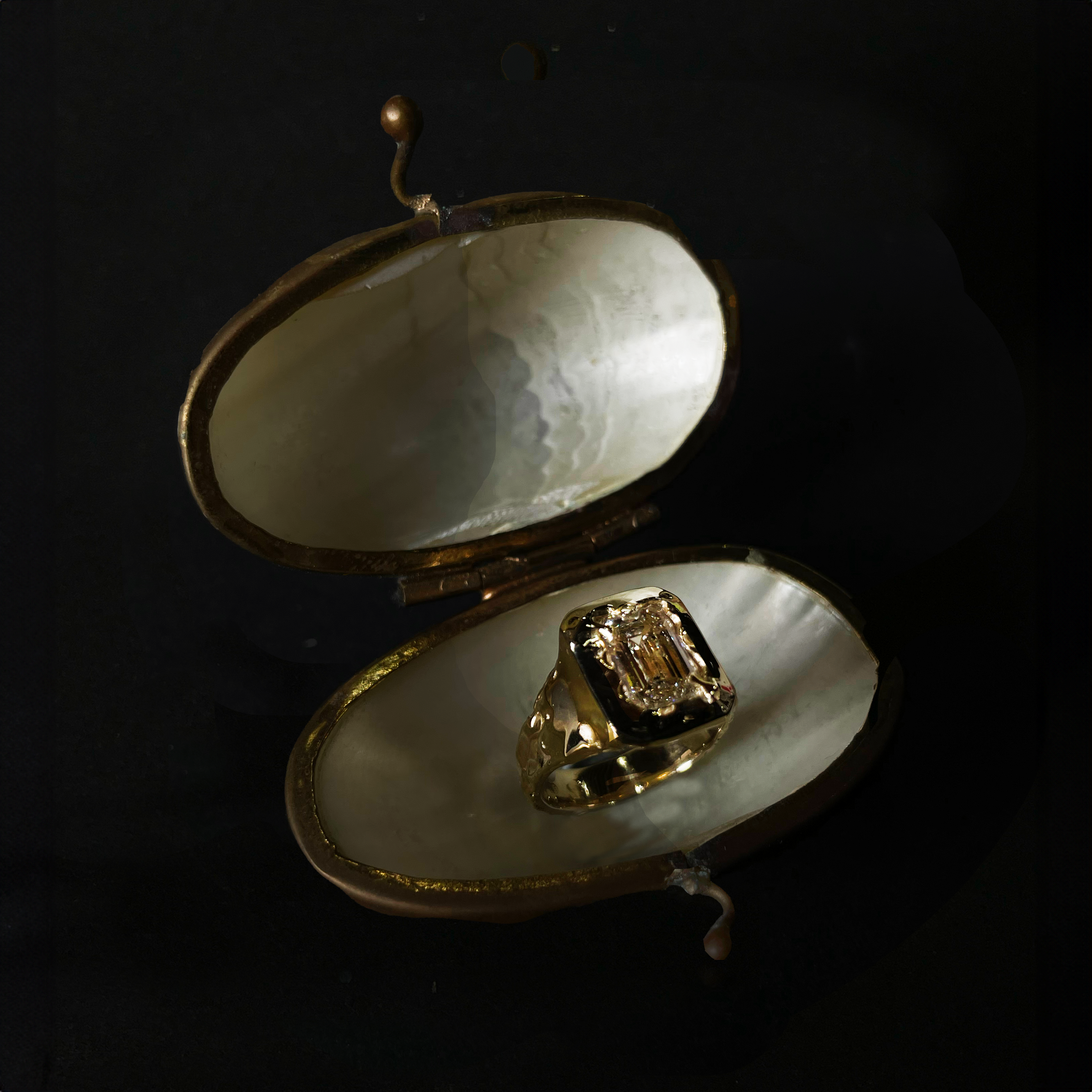 A custom enagagement story that will melt your heart❤️🔥