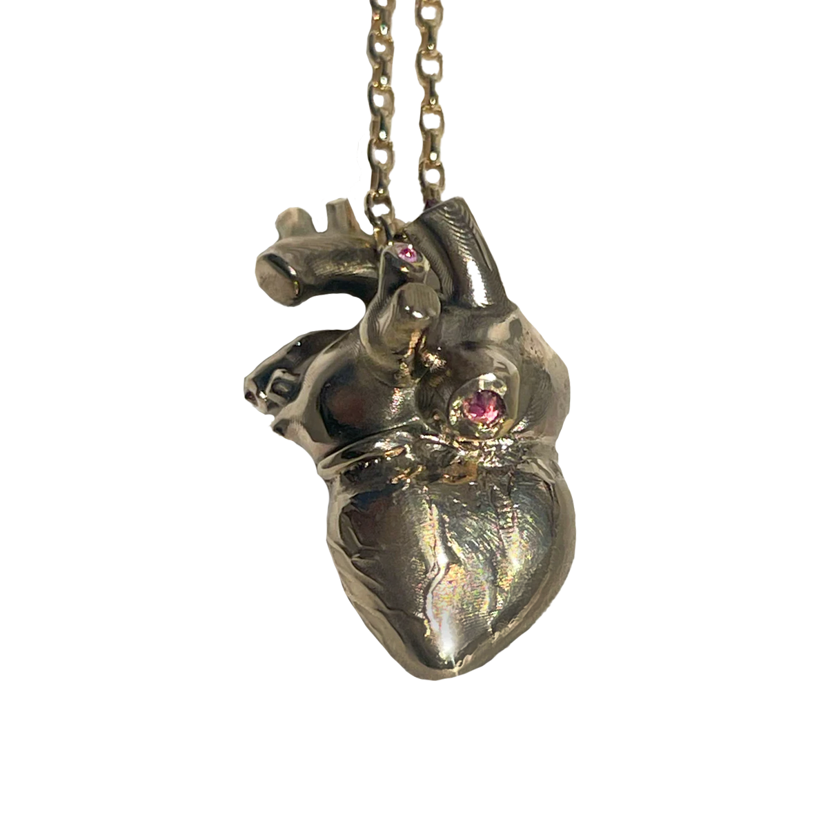 Transparent Actual Heart Necklace 925 Sterling Silver Anatomical Heart Necklace, Human Heart Charm Necklace,  Realistic Heart Necklace, Beating Heart Necklace