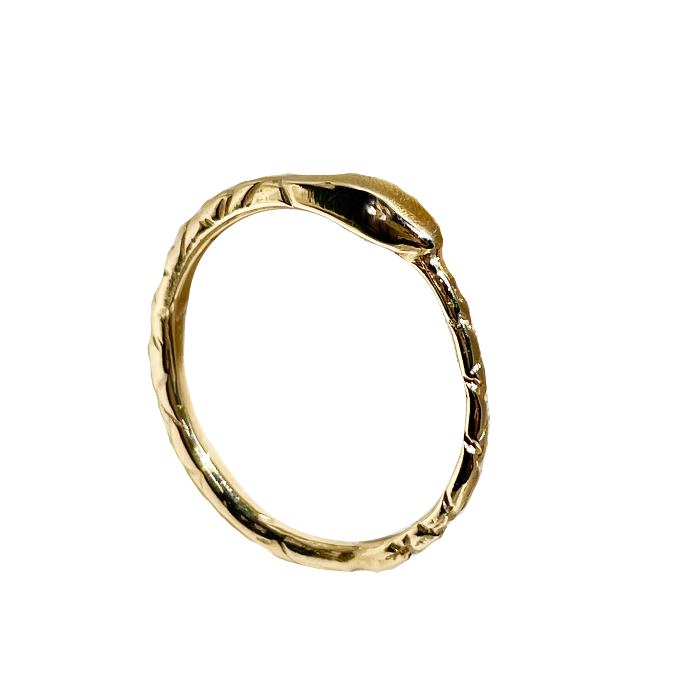 The Ouroboros Snake Ring - Solid 9K Gold | Serpent & the Swan