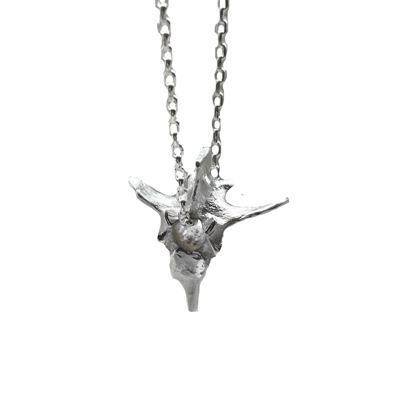 Backbone of Life necklace - Sterling Silver | Serpent & the Swan
