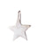 Star Bright Earring Silver