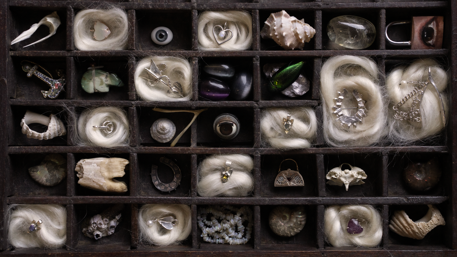 The Cabinet of Curiosities is open 🕸️🕷️🌙