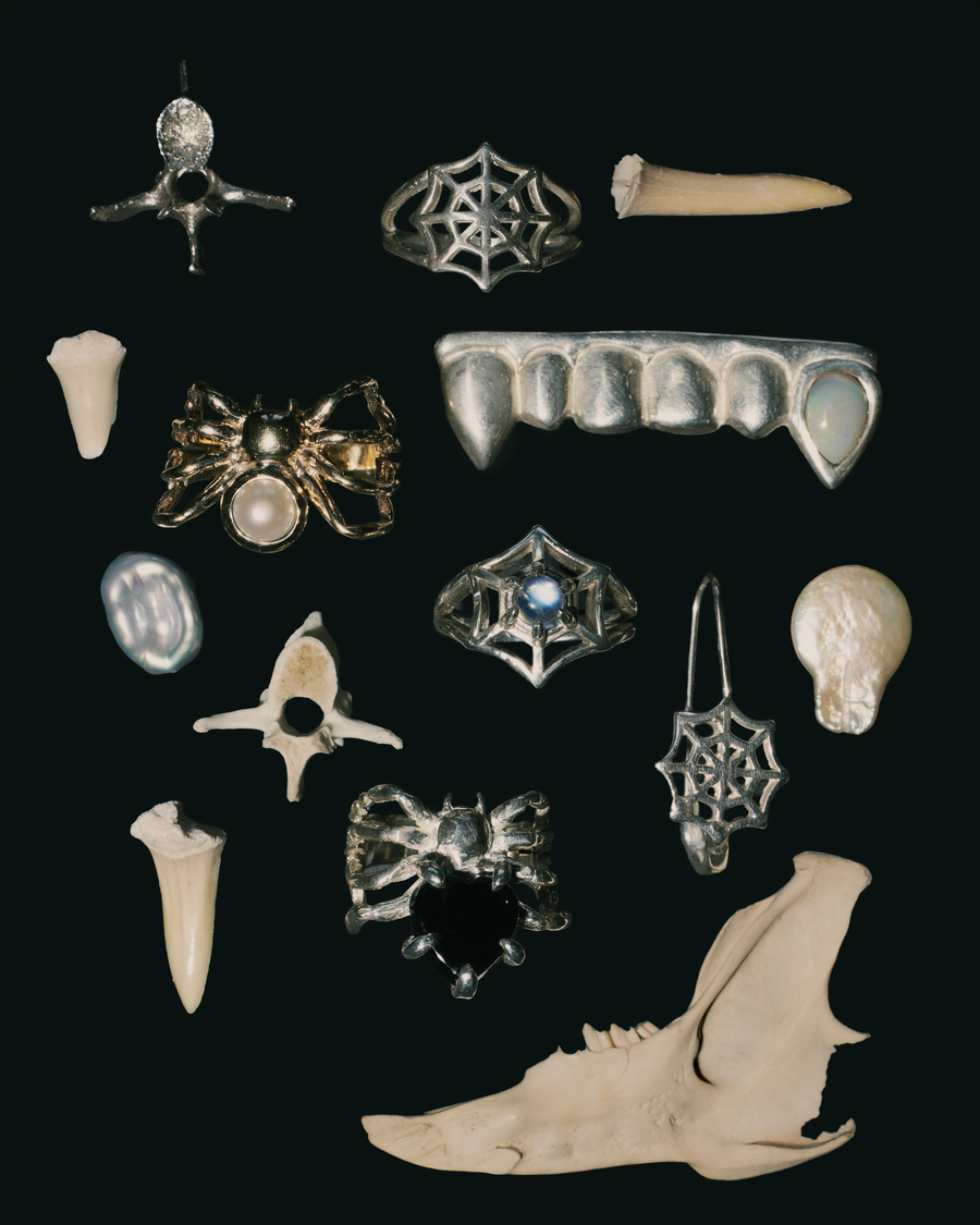 New Spiderweb Arrivals! 🕸️ 🕷️