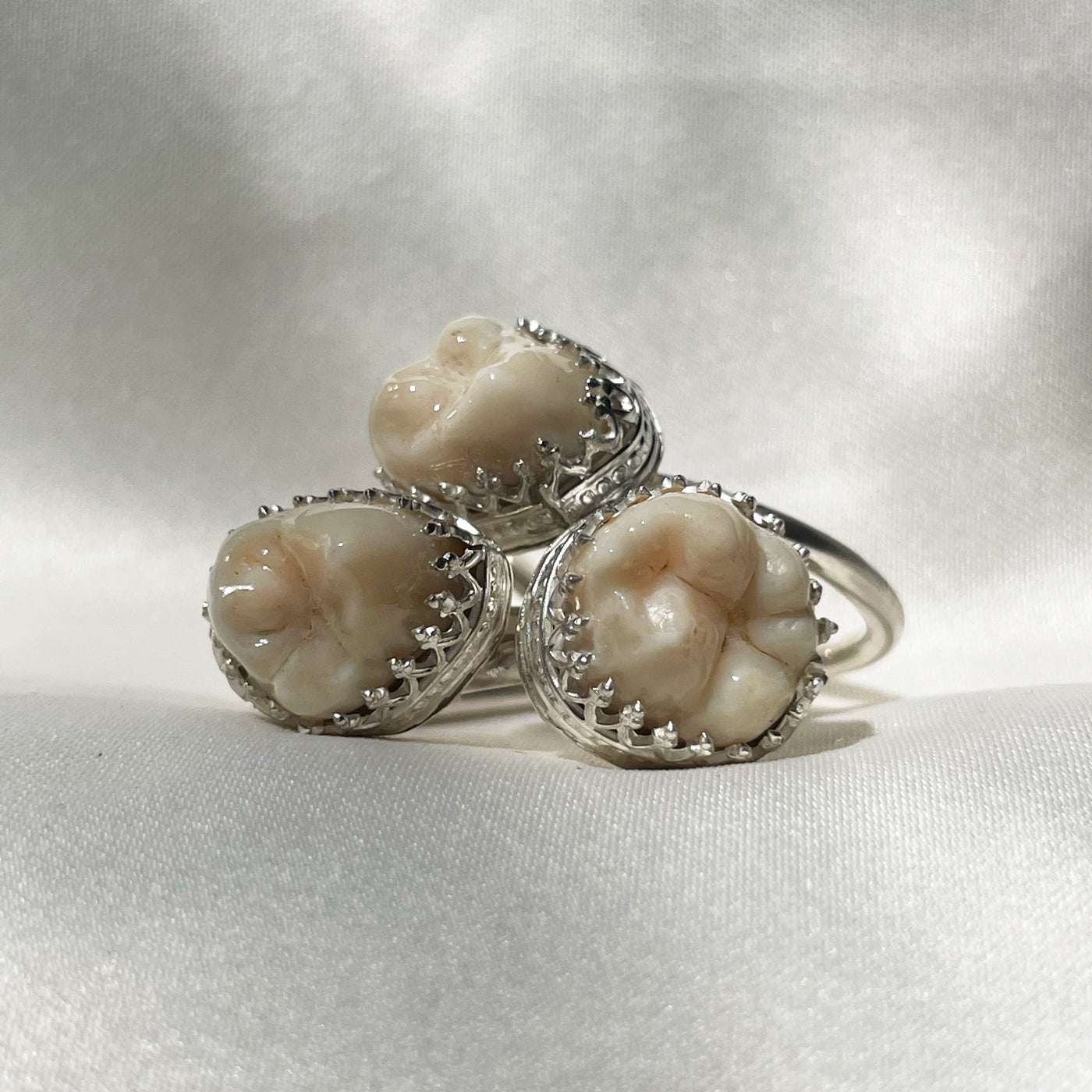 Toot Rigs Jewellers are basically dentists 🦷 | Serpent & the Swan