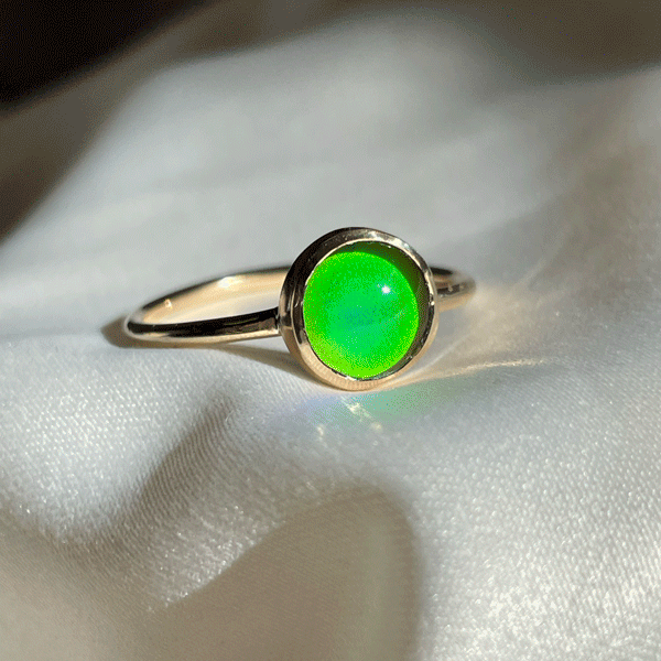 Happy Winter Solstice!🌚 Serpent & the Swan