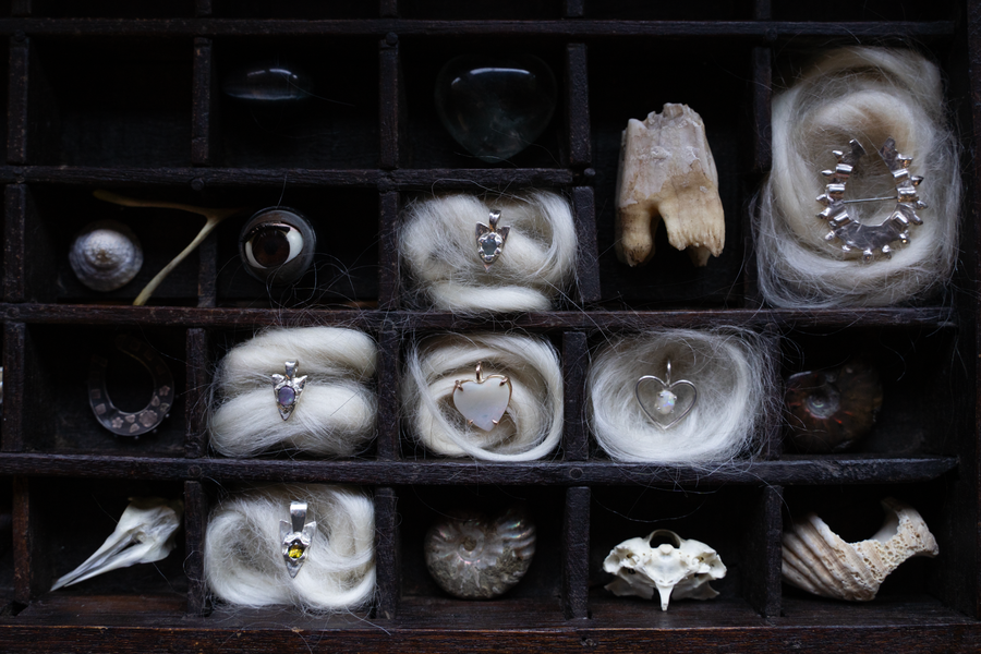 Cabinet of Curiosities