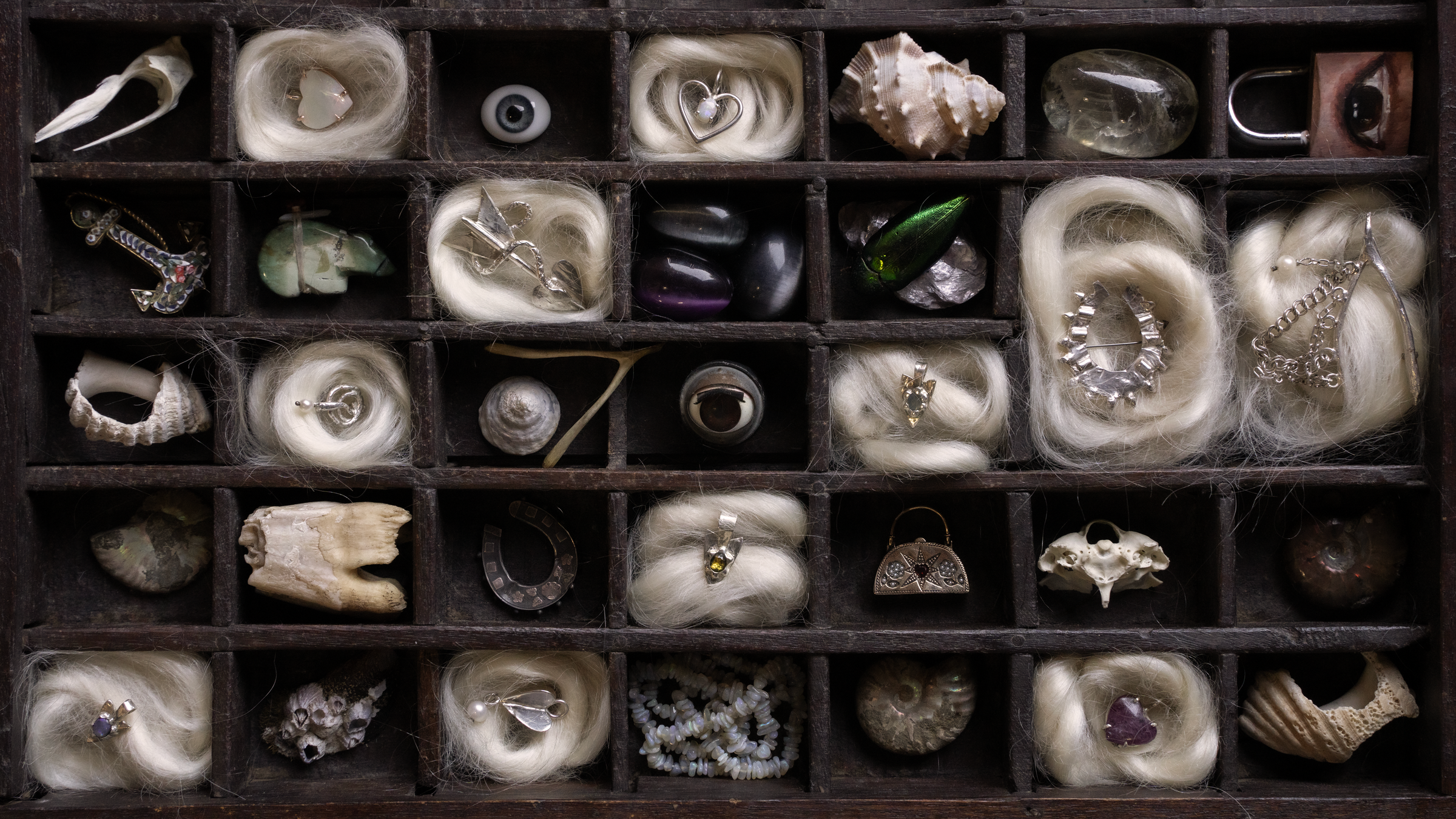 Cabinet of Curiosities