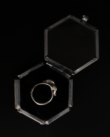 Serpent & the Swan Love Knot Ring - Sterling Silver