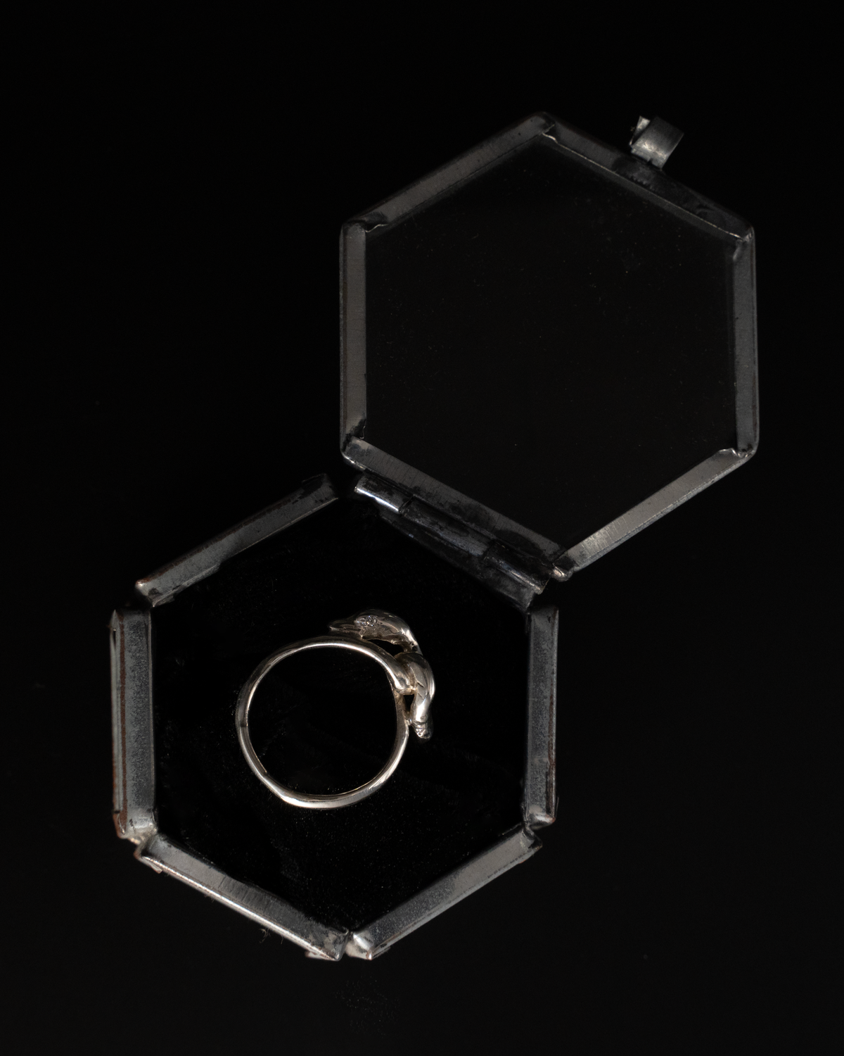 Serpent & the Swan Love Knot Ring - Sterling Silver