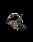 Serpent & the Swan Love Knot Ring - Sterling Silver
