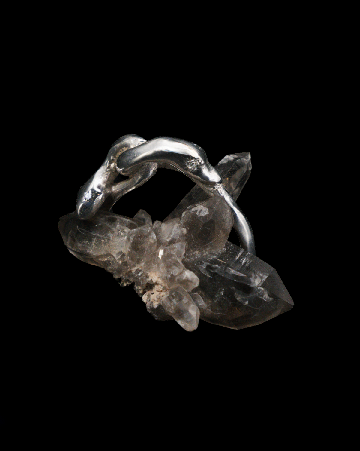 Serpent & the Swan Love Knot Ring - Sterling Silver