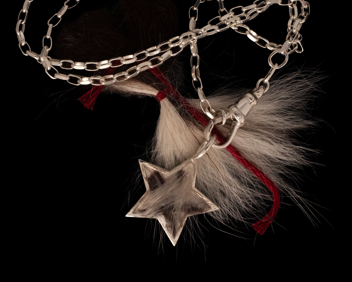 A dog's tooth capped in solid 9ct gold, hanging from a fine gold chain on a white background