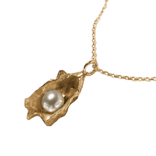 Oyster Freshwater Pearl Necklace - Solid 9K Gold