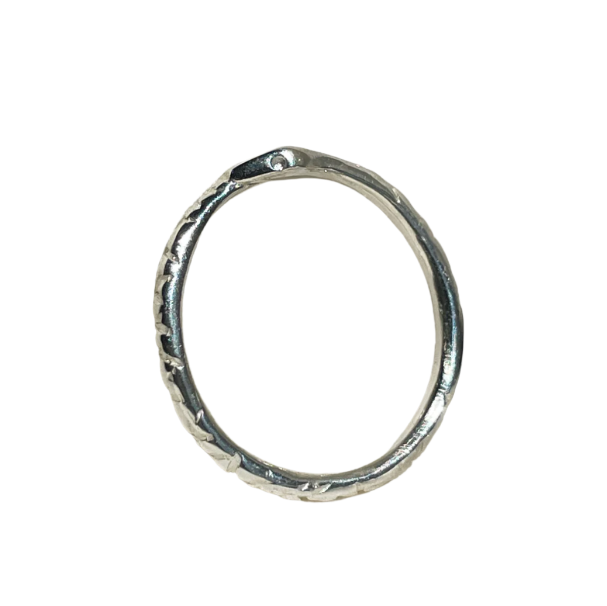 The Oracle Snake Ring - Sterling Silver | Serpent & the Swan