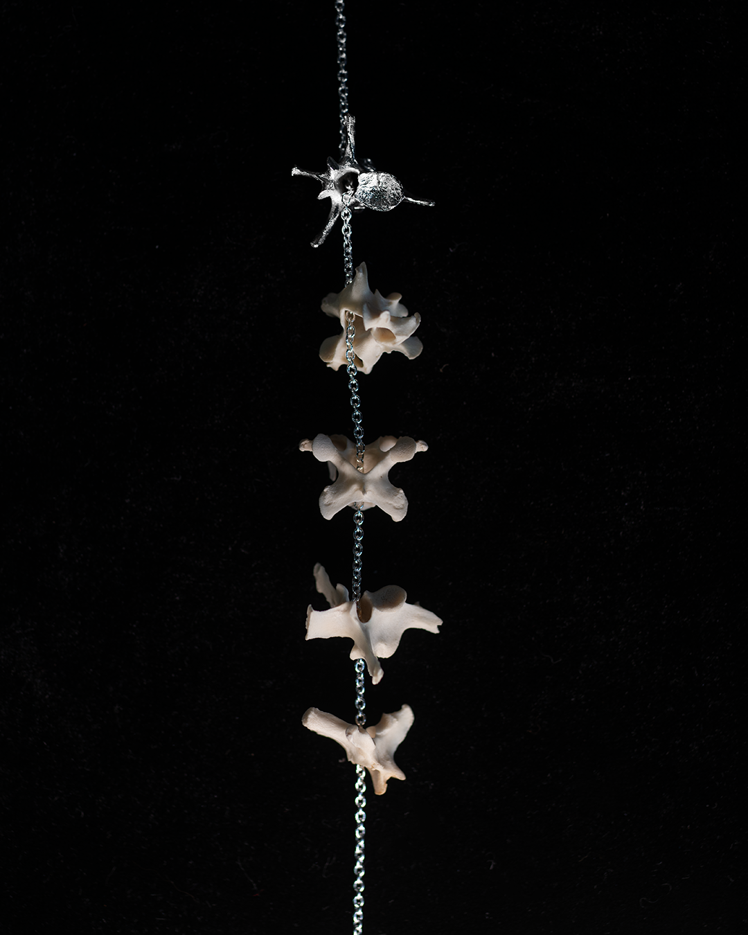 Backbone of Life necklace - Sterling Silver