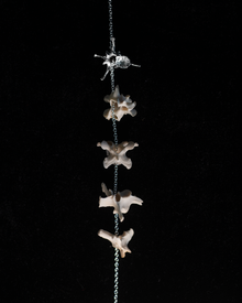 Backbone of Life necklace - Sterling Silver