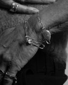 Crying Rose Pin Bracelet- Sterling Silver