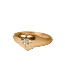 Love Drop Birthstone Ring - Solid 9K Gold