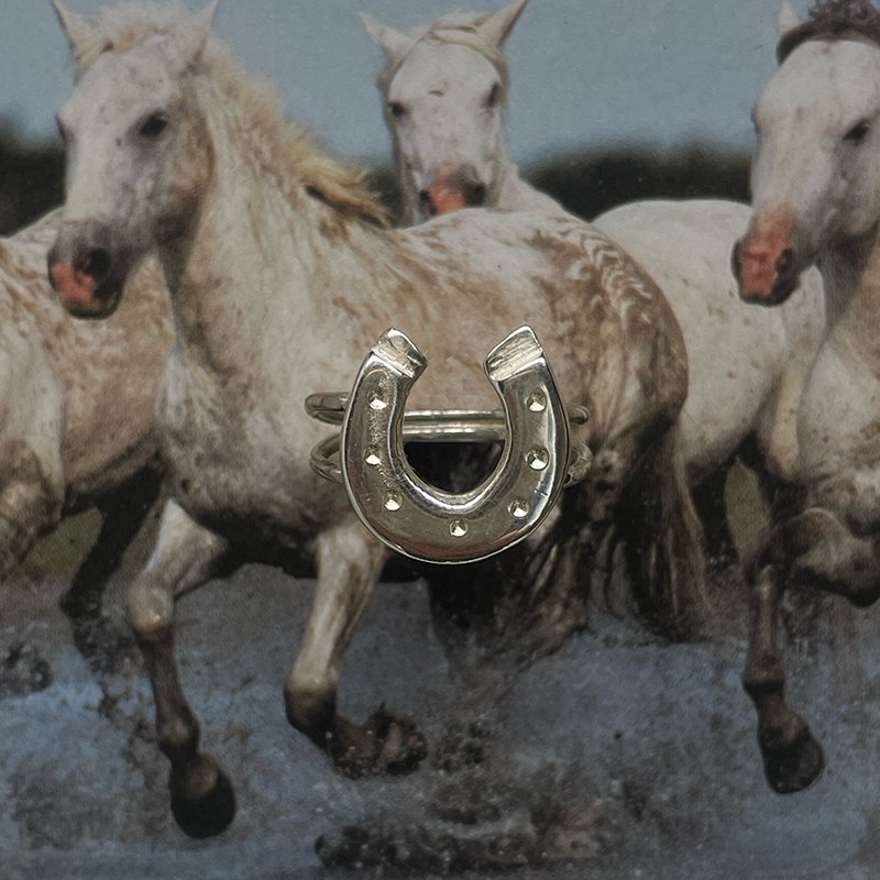 Lucky Horseshoe Ring - Sterling Silver