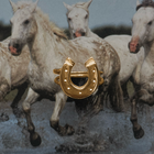 Lucky Horseshoe Ring - Solid 9K Yellow Gold