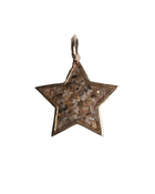 Ashes Shooting Star - Solid 9K Gold