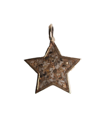 Ashes Shooting Star - Solid 9K Gold