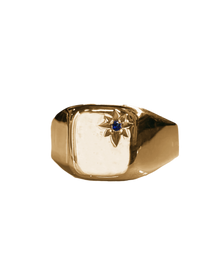 Birthstone Signet Ring - Solid 9K Gold