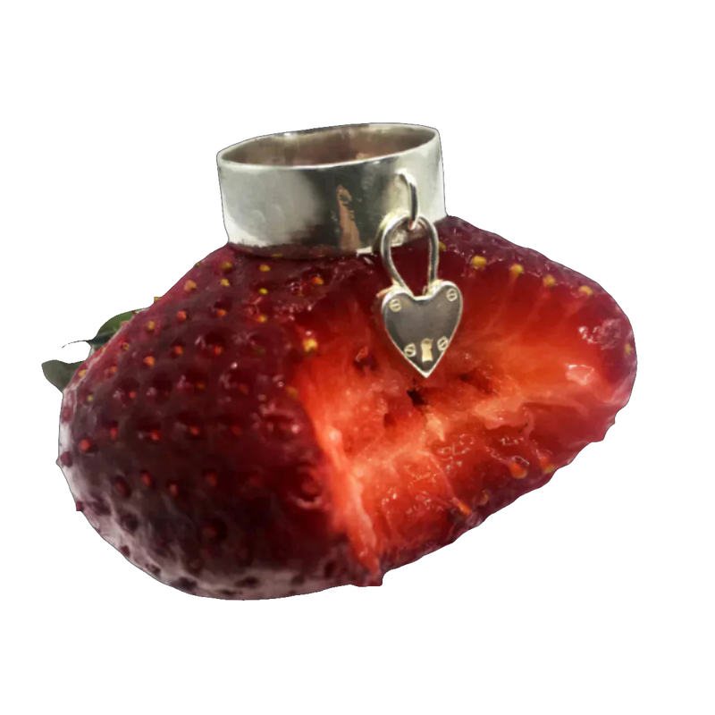 Lock My Heart Ring Silver