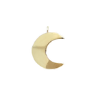 Crescent Moon Earring