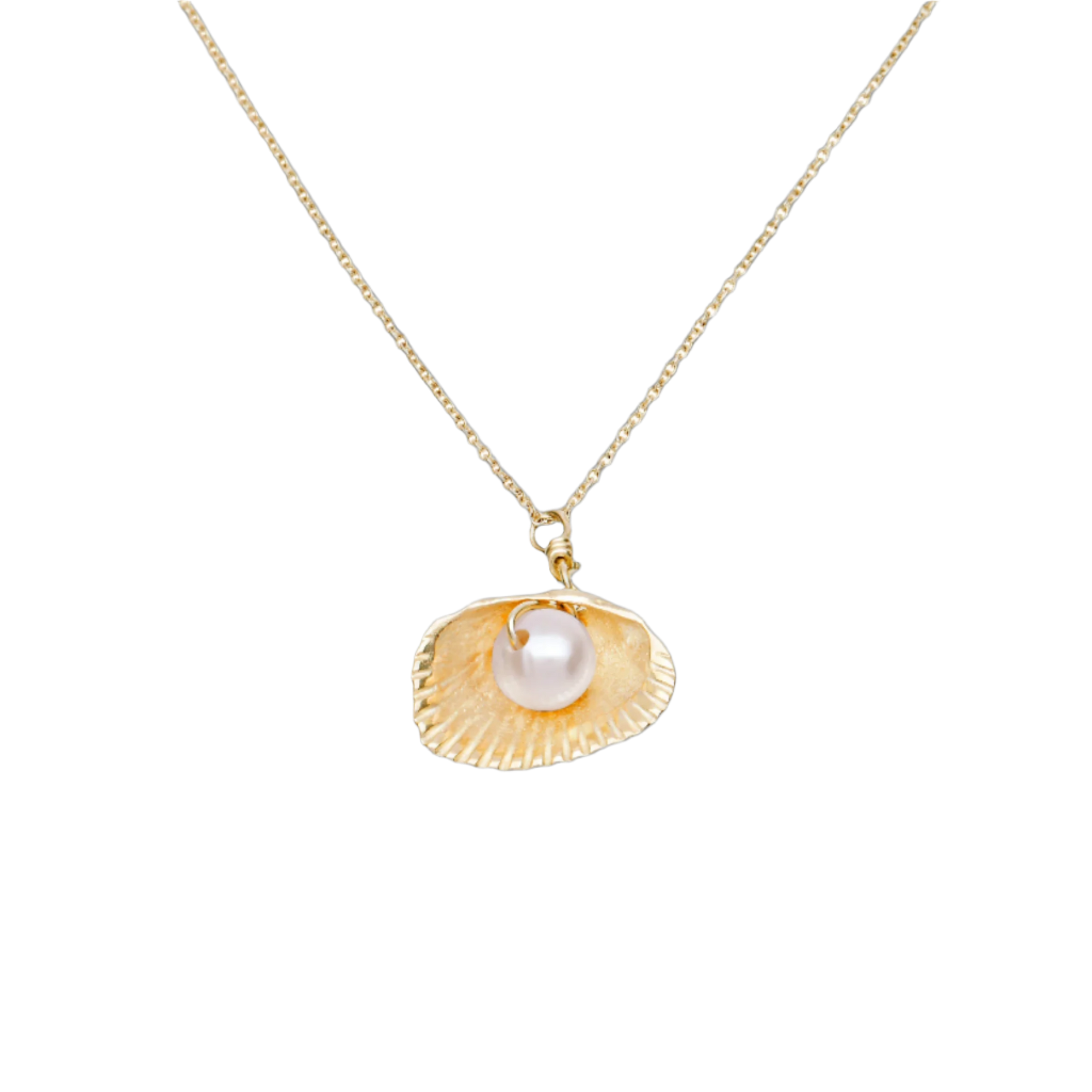 Shell & Freshwater Pearl Necklace