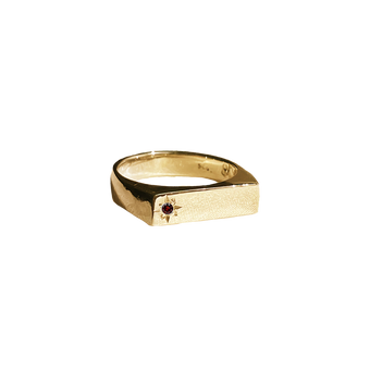 Birthstone Signet Pinky Ring - Solid 9K Gold