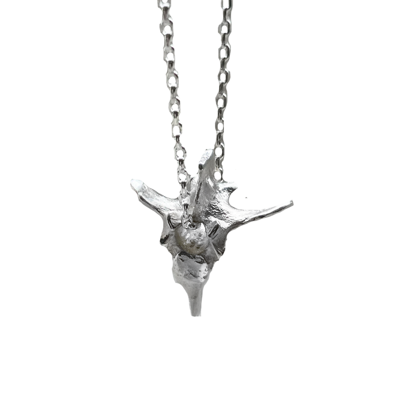 Backbone of Life necklace - Sterling Silver