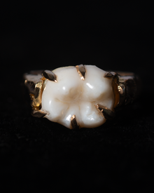 Wisdom Tooth Claw Ring - Solid 9K Gold