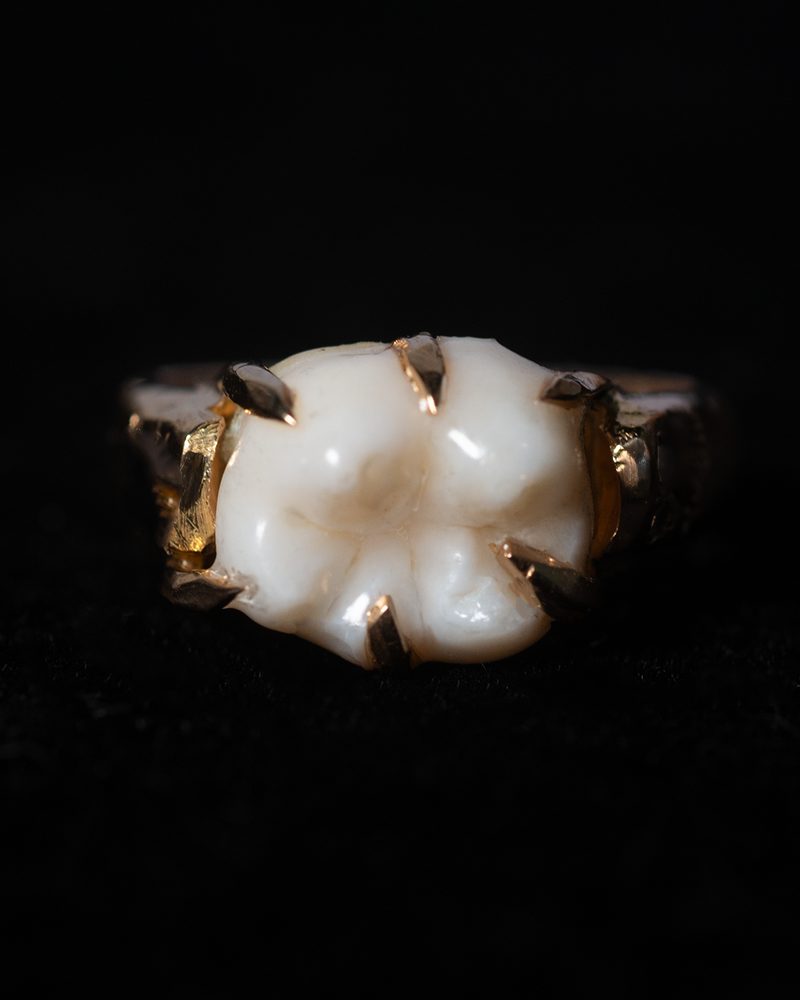 Wisdom Tooth Claw Ring - Solid 9K Gold