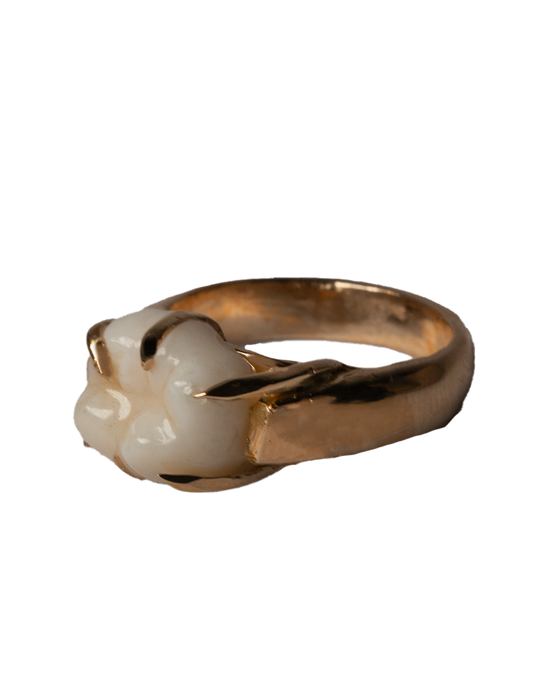 Wisdom Tooth Claw Ring - Solid 9K Gold