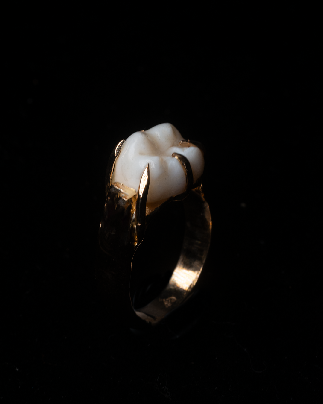 Wisdom Tooth Claw Ring - Solid 9K Gold