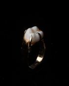 Wisdom Tooth Claw Ring - Solid 9K Gold