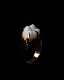 Wisdom Tooth Claw Ring - Solid 9K Gold