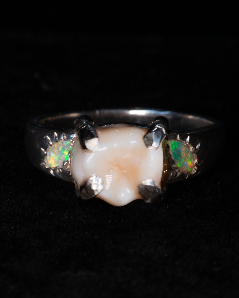 Wisdom Tooth Claw Ring - Sterling Silver