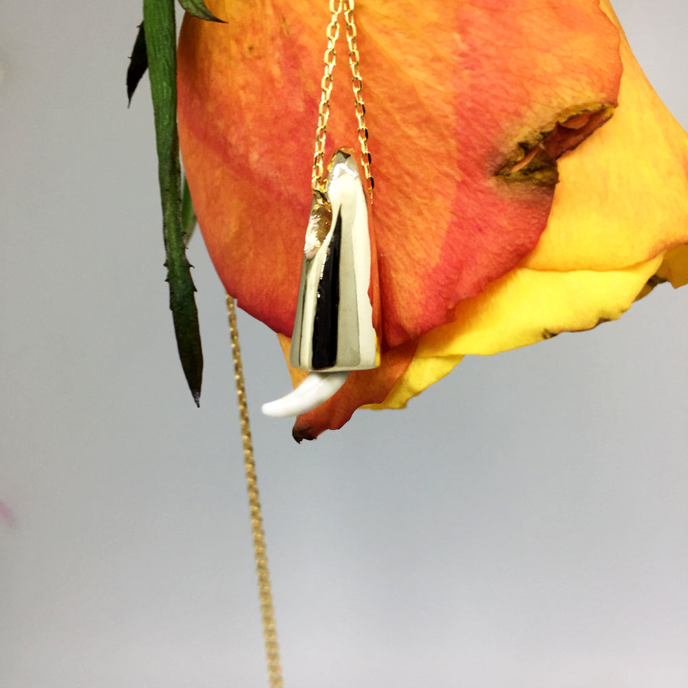 Tooth Pendant  - Custom made