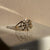 Pavé Diamond Spiderweb Ring - Solid Gold