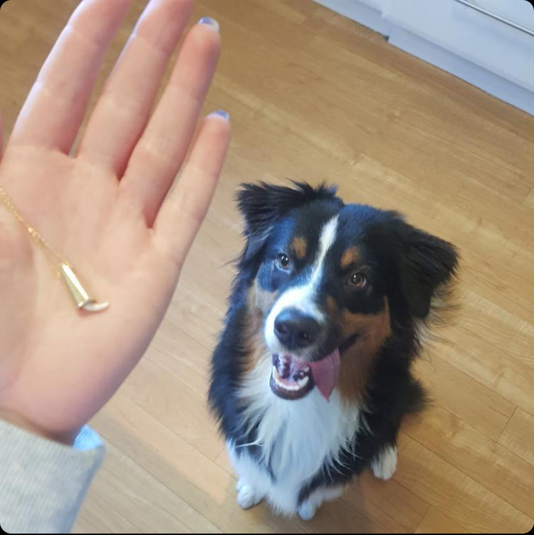 Tooth Pendant  - Custom made