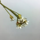 Wishbone Ring