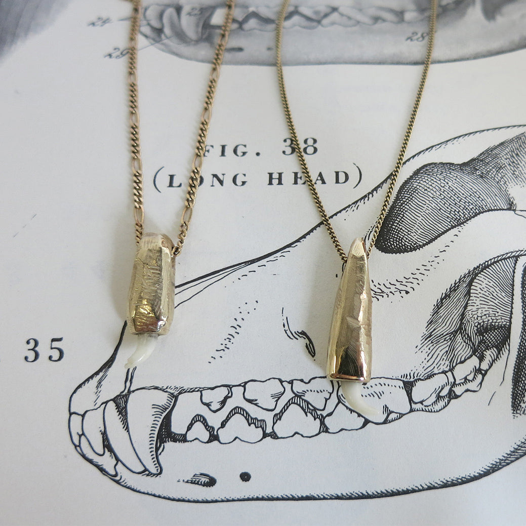 Tooth Pendent Necklace  - Custom made - Serpent & the Swan