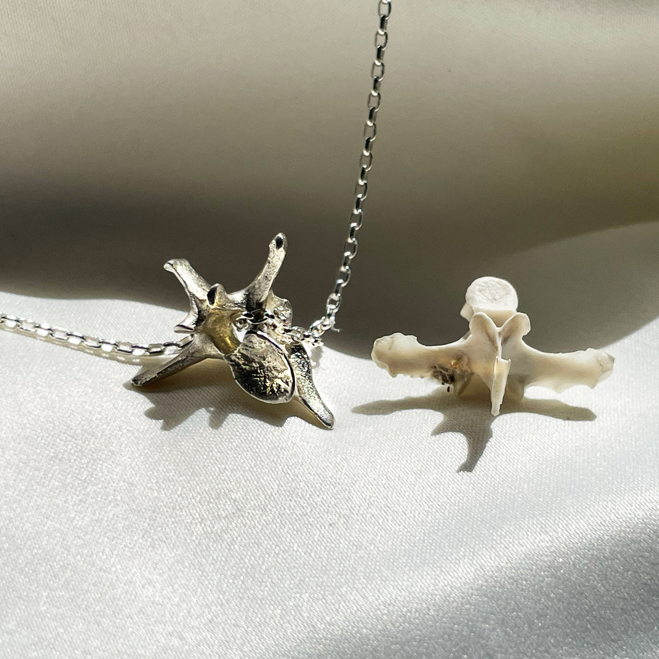 Backbone of Life necklace - Sterling Silver