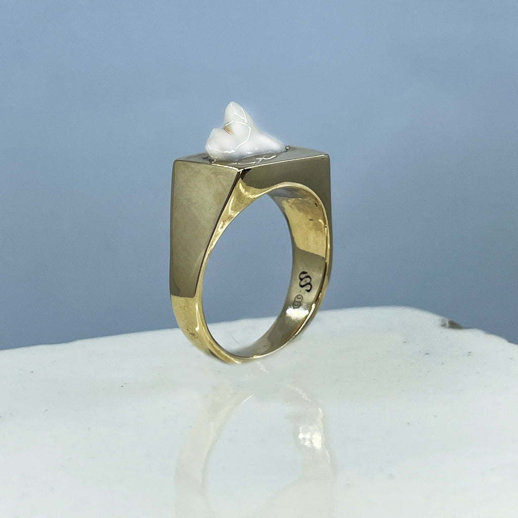 Tooth Signet Ring Custom made Serpent the Swan - Main Image
