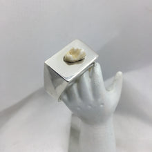 Tooth Signet Ring  - Custom made