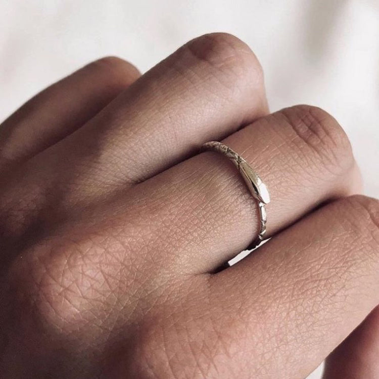 The Ouroboros Snake Ring Silver - Serpent & the Swan